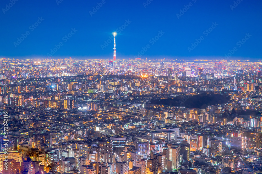 Obraz premium 東京 池袋サンシャインからの夜景