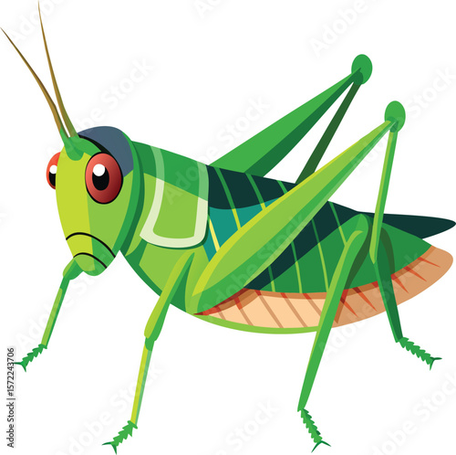 Green grasshopper, a fascinating insect, isolated on a white background, captured in a detailed macro close-up