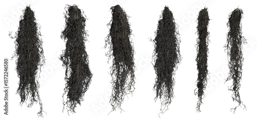 Quadro su tela This image shows dried bearded tillandsia plants with interesting shapes