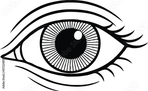 Detailed Line Art Illustration of a Human Eye Anatomy, Vision, and Optical Design