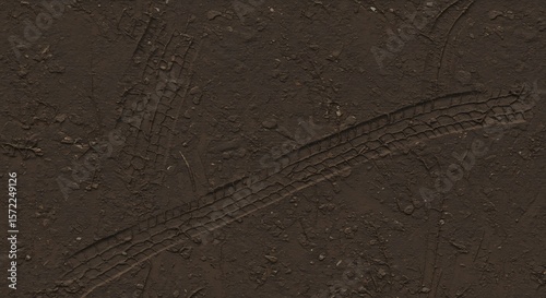 Dark brown muddy ground showing detailed tire tracks scattered small stones and organic debris