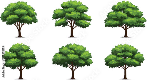 Realistic green tree set with lush foliage, natural forest landscape elements, summer garden tree vector collection for design and decoration