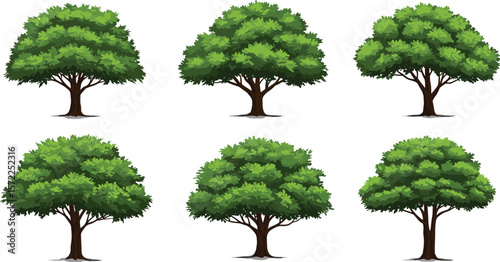 Realistic green tree set with lush foliage, natural forest landscape elements, summer garden tree vector collection for design and decoration