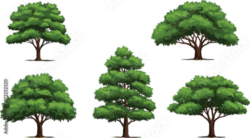Realistic green tree set with lush foliage, natural forest landscape elements, summer garden tree vector collection for design and decoration
