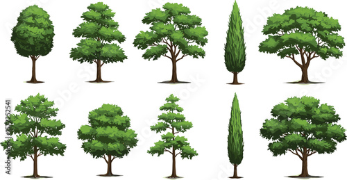 Realistic green tree set with lush foliage, natural forest landscape elements, summer garden tree vector collection for design and decoration