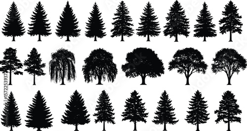 Set of various tree silhouettes, black vector trees collection, evergreen, deciduous, natural forest graphic pack, isolated illustration design