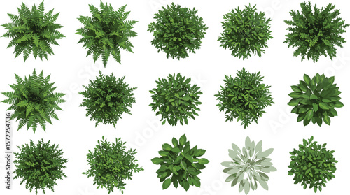 Top view realistic green bush collection, garden foliage plant set for landscaping, nature decoration, isolated shrub vector elements pack design