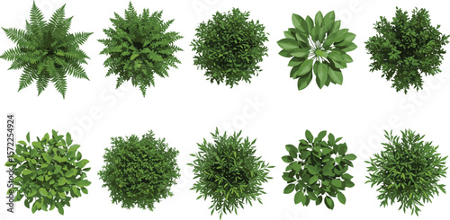 Top view realistic green bush collection, garden foliage plant set for landscaping, nature decoration, isolated shrub vector elements pack design