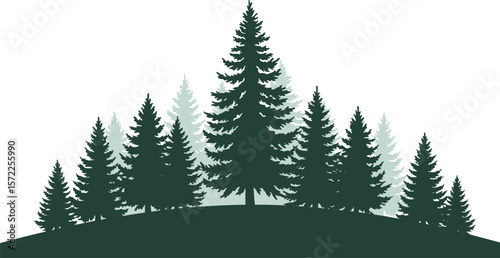Vector silhouette illustration of pine trees on hill, forest landscape background, natural evergreen scenery, tranquil outdoor woodland scene