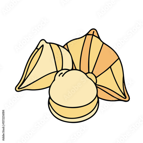 Hand drawn illustration of pasta shells in a light orange/yellow color, showing a slightly angled, three-quarter view of two shells overlapping against a white background.