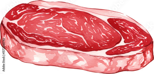 watercolour illustration of raw meat isolated on white