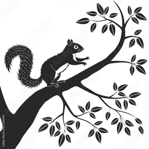 Squirrel Silhouette Isolated Wild Animal on White Background