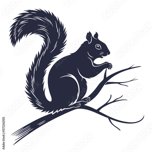 Squirrel Silhouette Isolated Wild Animal on White Background