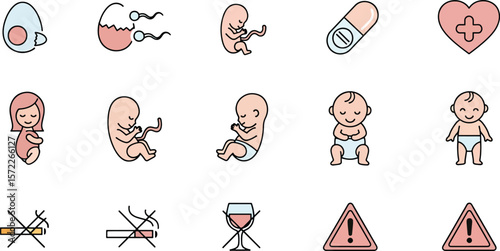 Stages of Pregnancy A Visual Guide to Fetal Development and Healthy Habits