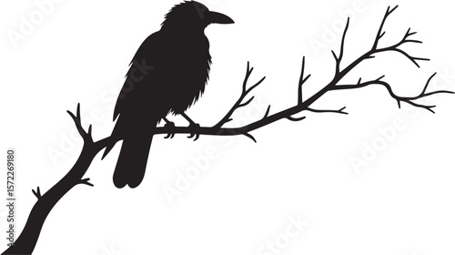 Silhouette of a Raven Perched on a Bare Tree Branch in a Dramatic Black and White Composition  
