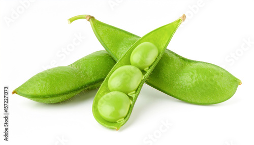 Wallpaper Mural 枝豆 Torontodigital.ca