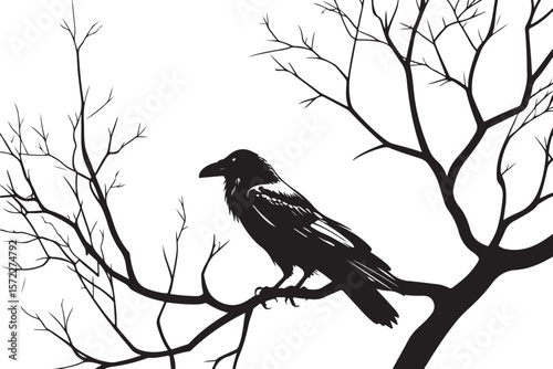 Silhouette of a Raven Perched on a Bare Tree Branch with Symbolic and Mysterious Ambience  
