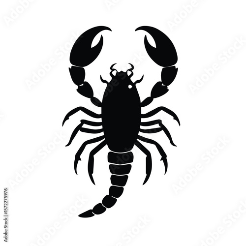 Black silhouette of a scorpion in a simple, decorative style. Detailed illustration of the scorpion's body and appendages in a neutral, isolated white background.
