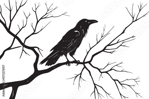Silhouette of a Raven Perched on a Bare Tree Branch with Symbolic and Mysterious Ambience  
