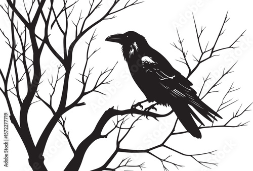 Silhouette of a Raven Perched on a Bare Tree Branch with Symbolic and Mysterious Ambience  
