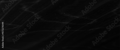 Vector natural wood planks texture table background