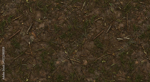 Closeup topdown view of damp brown soil with green grass tufts scattered twigs small rocks and leaves