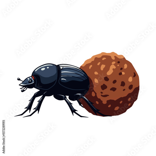 illustration of a dung beetle pushing a ball of dung. Perfect for biology, insect education, and environmental or ecosystem-related content