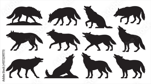 Twelve Black Wolf Silhouettes Various Poses Walking Running Howling Sitting White Background Animal Wildlife Set