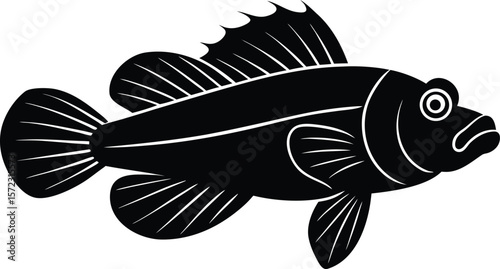 vector illustration of a fish