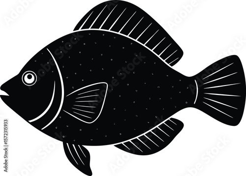 vector illustration of a fish