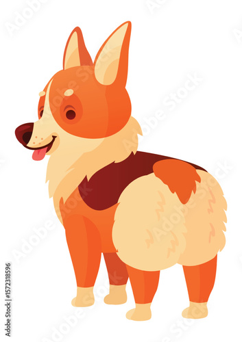 Cartoon illustration of a cute welsh corgi dog standing on all fours and turning its head back, showing its fluffy butt, isolated on white background