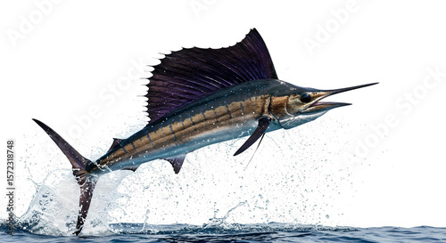 500_F_1572318748_jQse2wckJLxg4
