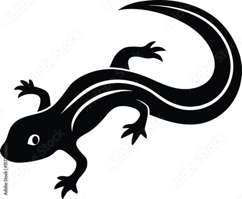 silhouette of a lizard