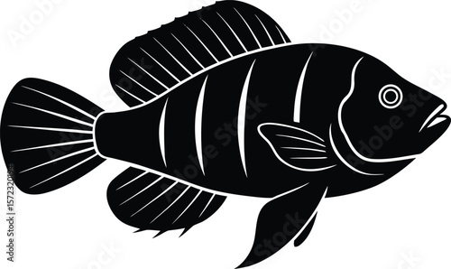 vector illustration of a fish