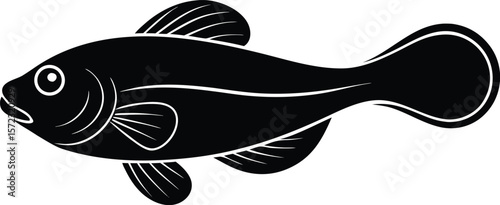 vector illustration of a fish
