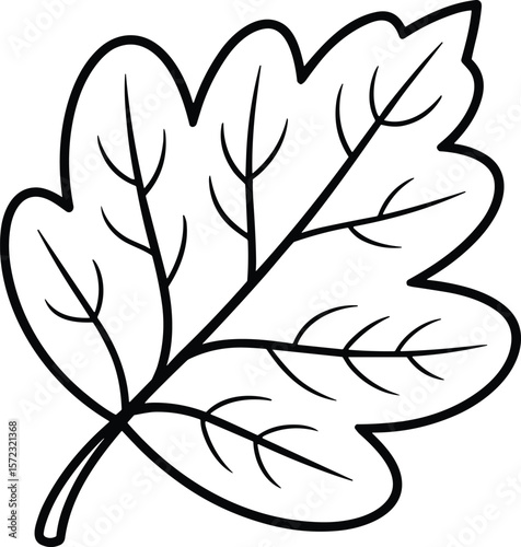 Leaf Line Art Vector Illustration