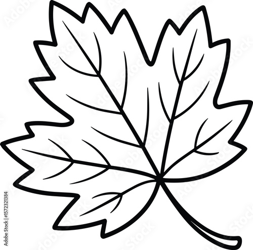 Maple Leaf Line Art Vector Illustration