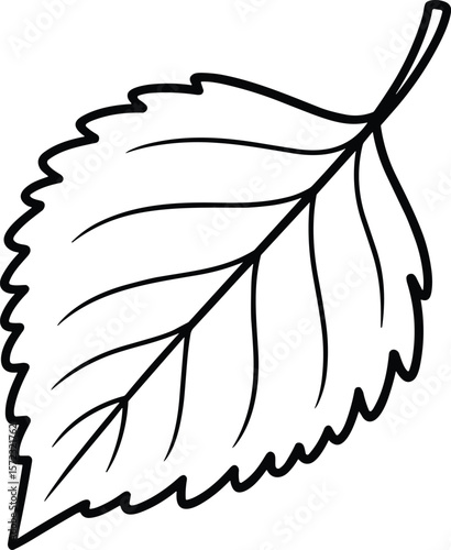 Serrated Leaf Line Art Vector Illustration
