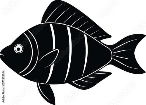 vector illustration of a fish