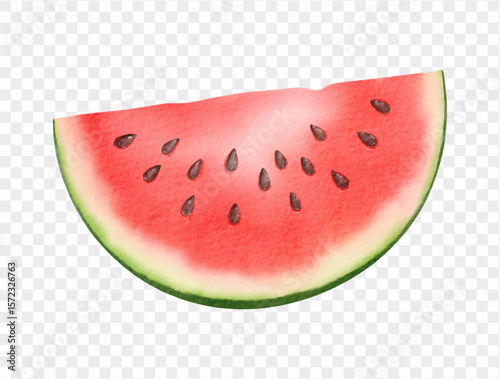 Watercolor painting of juicy watermelon wedge for tropical summer food concept. Vector.