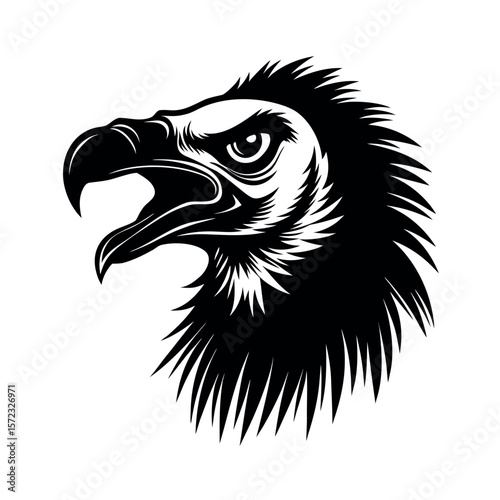 White Backed Vulture Face