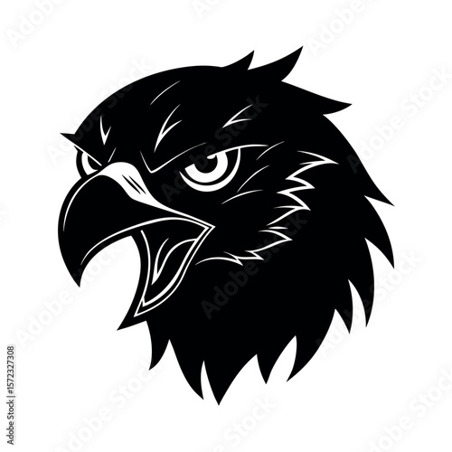 Brahminy Kite Angry Expression