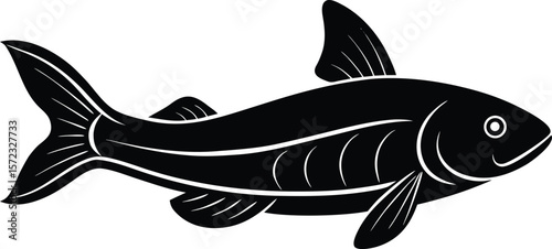 vector illustration of a fish