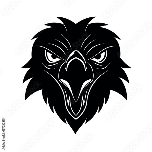 Himalayan Vulture Angry Style