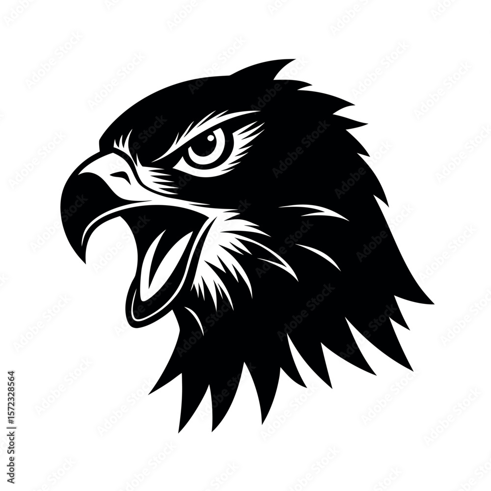 Obraz premium Mountain Hawk Eagle Angry Art