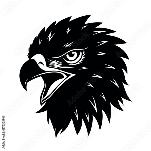 Rufous Bellied Eagle Angry Portrait