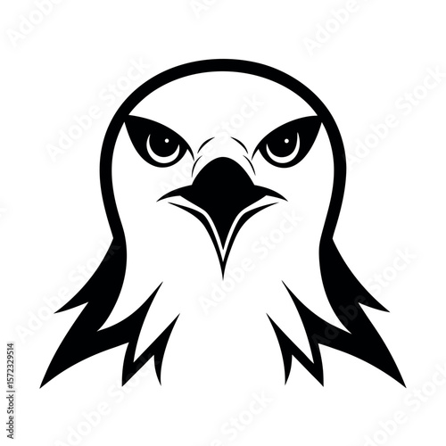 White Tailed Kite Angry Bird