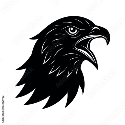 Yellow Billed Kite Angry Art