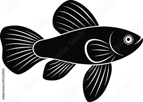 vector illustration of a fish