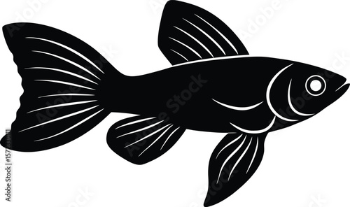 vector illustration of a fish